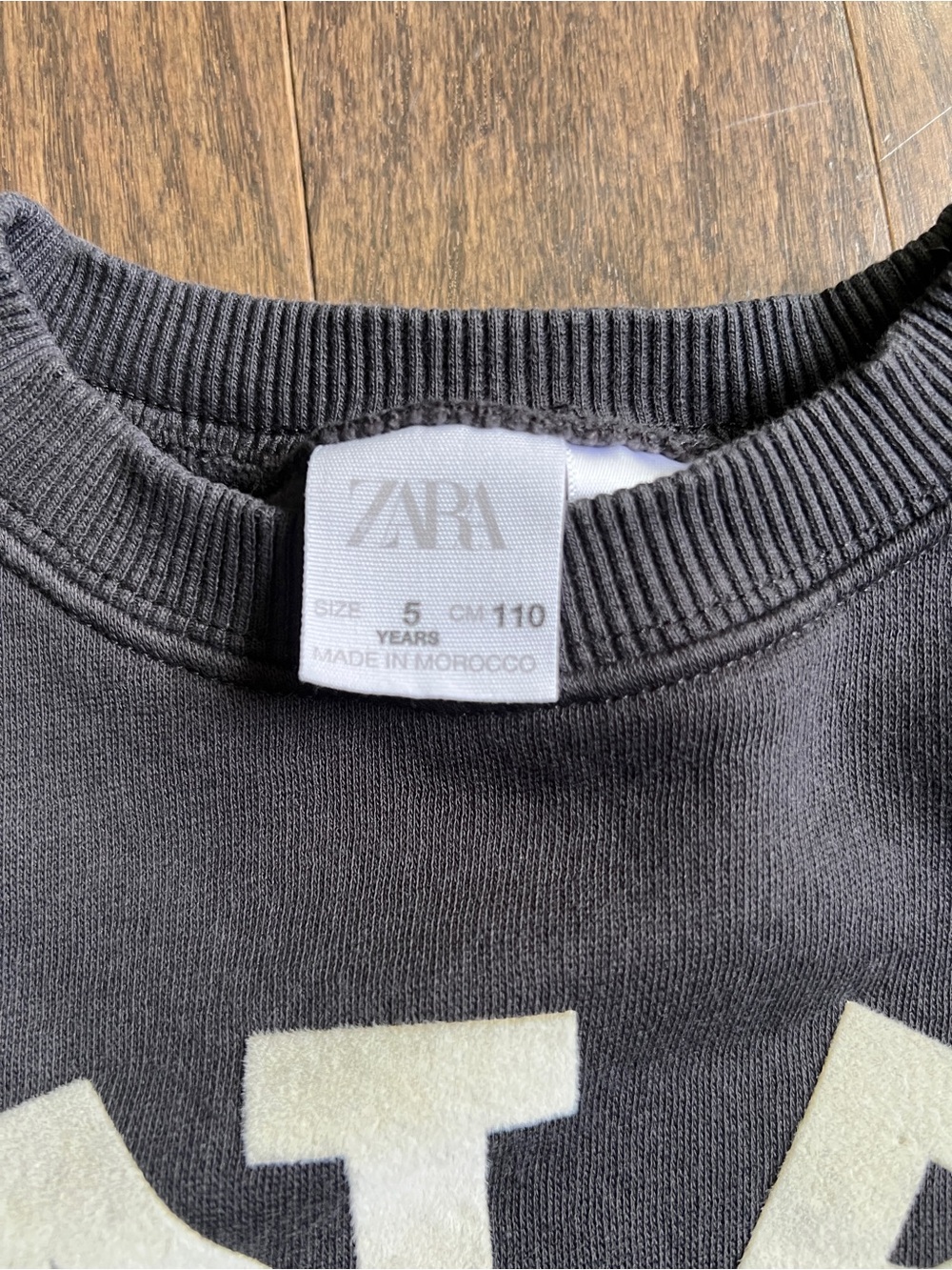 Zara great days Dino plush letters crewneck sweatshirt kids size 5 - Picture 4 of 5